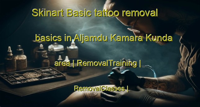 Skinart Basic tattoo removal basics in Aljamdu Kamara Kunda area | RemovalTraining | RemovalClasses | SkinartTraining-Gambia